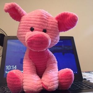 Meet your Posher, Arshpreet